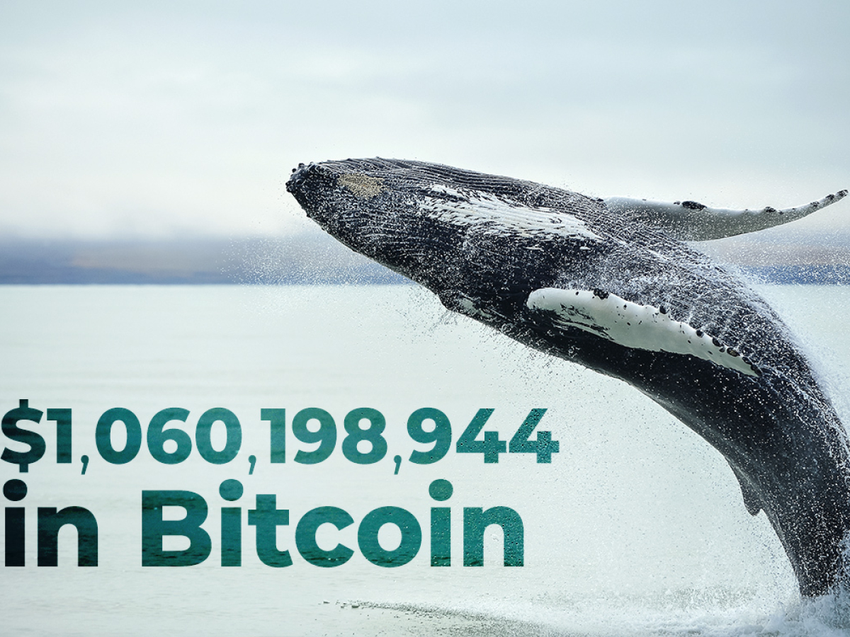 youtube btc whale channel